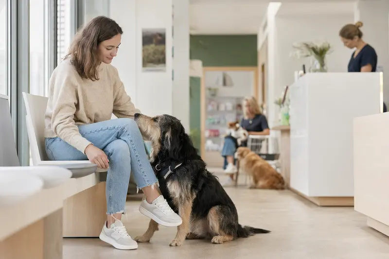 Ein Hybridhund sitzt ruhig neben seinem Besitzer im hellen Wartezimmer einer modernen Tierarztpraxis.